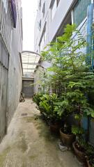 Covered outdoor alley with plants