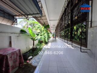 A covered walkway adjacent to a garden with large leafy plants.