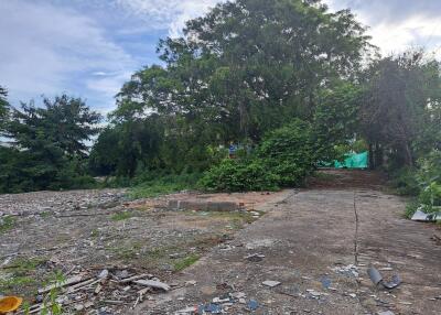 Vacant lot with trees and debris