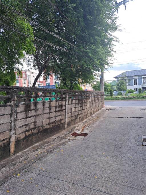 View of the street from the property with a concrete fence and trees in the background