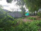 Spacious garden area with greenery and open space