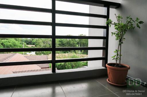 Spacious balcony with scenic view and potted plant