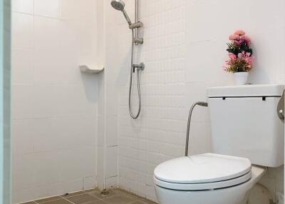 Modern bathroom with a shower, toilet, and decorative plant