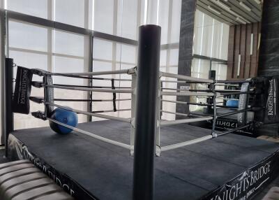 Boxing ring in a fitness area