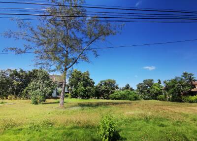 Open grassy field with trees and a house in the background