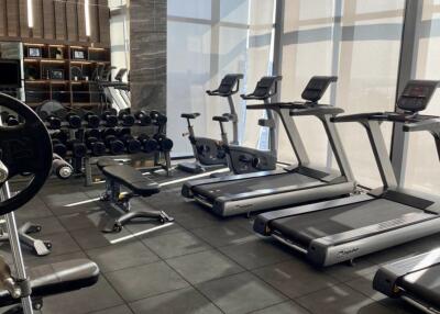 Modern gym with treadmills, weights, and workout benches