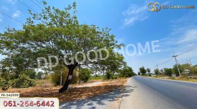 Scenic road with a tree and blue sky