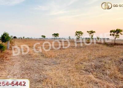 expansive open field with scattered trees