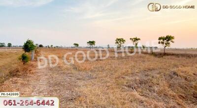 expansive open field with scattered trees