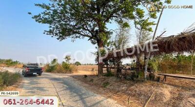 Dirt road leading to a rural property