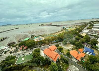 Aerial view of coastline and city with buildings, trees, and a beachfront park