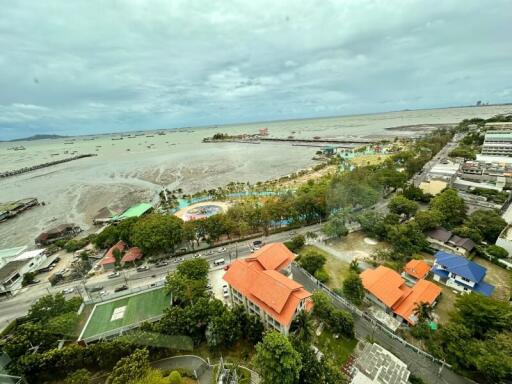 Aerial view of coastline and city with buildings, trees, and a beachfront park