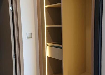 Modern walk-in closet with built-in shelves and drawers