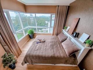 Well-lit bedroom with large windows, brown curtains, and potted plants