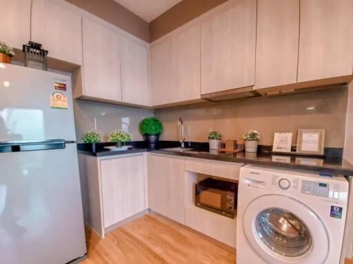 Modern kitchen with appliances