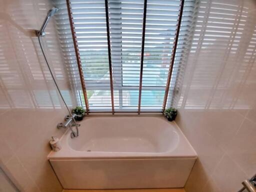 Modern bathroom with a bathtub and blinds on the window