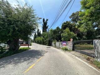 Street view with trees and houses