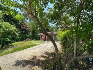 Front exterior view of a house with driveway and surrounding greenery