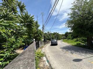 Rural road with greenery