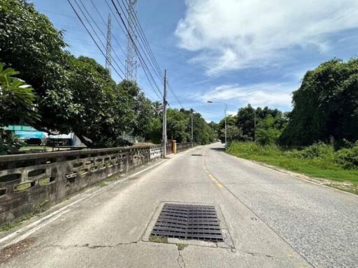 Scenic view of a quiet neighborhood street adjacent to lush greenery