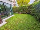 Lush garden with greenery and hedges