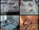 Four different views of a bedroom with made beds and cozy bedding