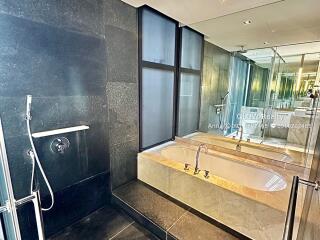 Spacious modern bathroom with a large bathtub and walk-in shower