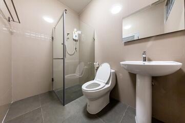 Modern bathroom with shower and toilet