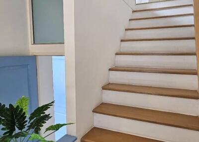 Indoor stairway with wooden steps