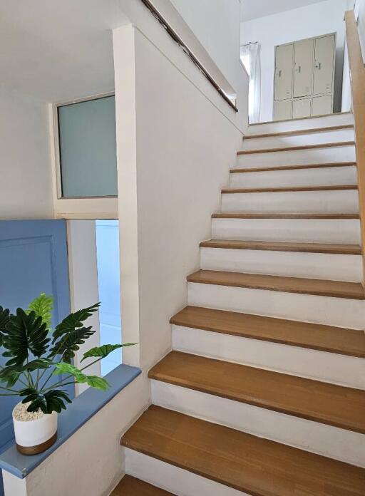 Indoor stairway with wooden steps