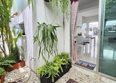 Plant-covered balcony connecting to an indoor space through sliding glass doors