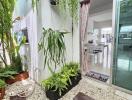 Plant-covered balcony connecting to an indoor space through sliding glass doors