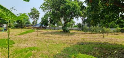 Land for Sale in Nong Phueng, Saraphi