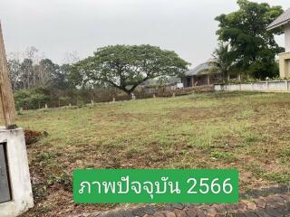 Land for Sale in Nong Chom, San Sai