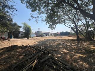 Land for Sale in Ki Lek, Mae Taeng