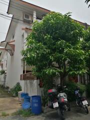 House for Sale, Rent in Suthep, Mueang Chiang Mai.