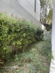 Townhouse for Sale in Suthep, Mueang Chiang Mai