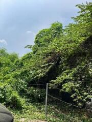 Land for Sale in Sathon Soi Chan 45