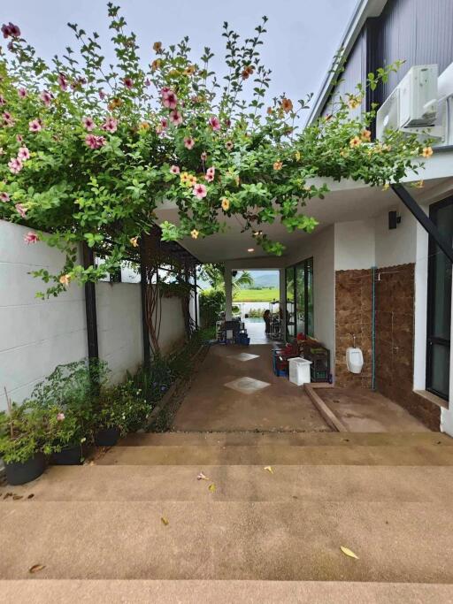 Pool Villa for Sale in Chae Chang, San Kamphaeng