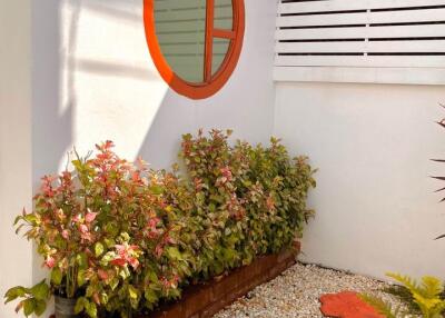 Townhouse for Sale in Nong Chom, San Sai