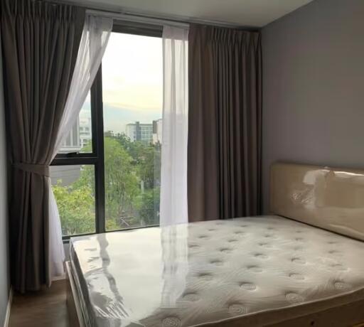 Condo for Sale at The Nest Sukhumvit 64