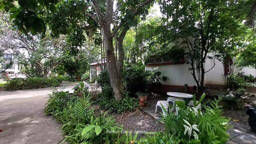 House for Sale in Chang Phueak, Mueang Chiang Mai.