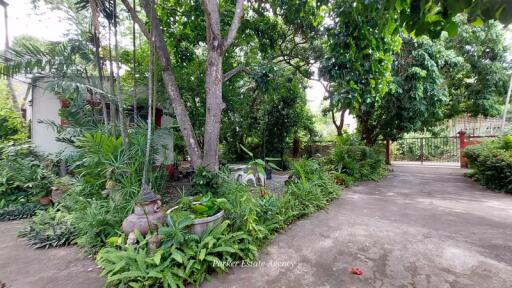 House for Sale in Chang Phueak, Mueang Chiang Mai.