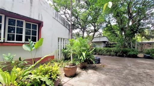 House for Sale in Chang Phueak, Mueang Chiang Mai.