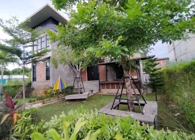 House for Rent, Sale in Suthep, Mueang Chiang Mai.