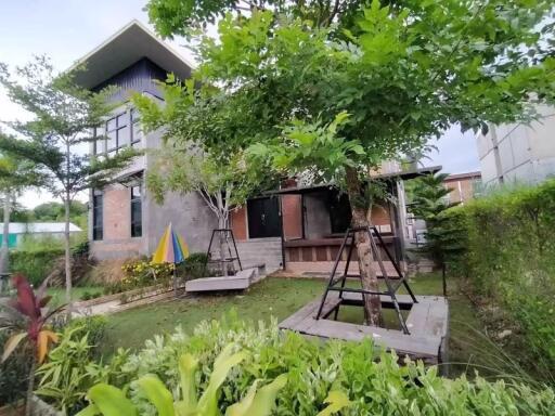 House for Rent, Sale in Suthep, Mueang Chiang Mai.