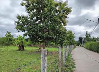 Land for Sale in Nam Phrae, Hang Dong