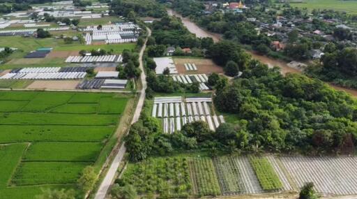 Land for Sale in Mueang Kaeo, Mae Rim