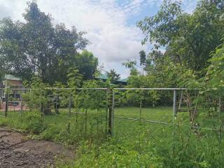 Land for Sale in Nong Khwai, Hang Dong