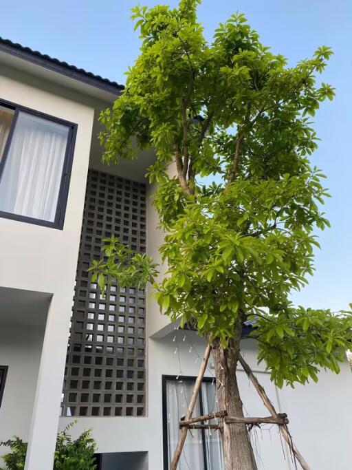 House for Sale in Nong Khwai, Hang Don